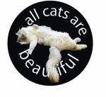 Pin #136: All Cats Are Beautiful